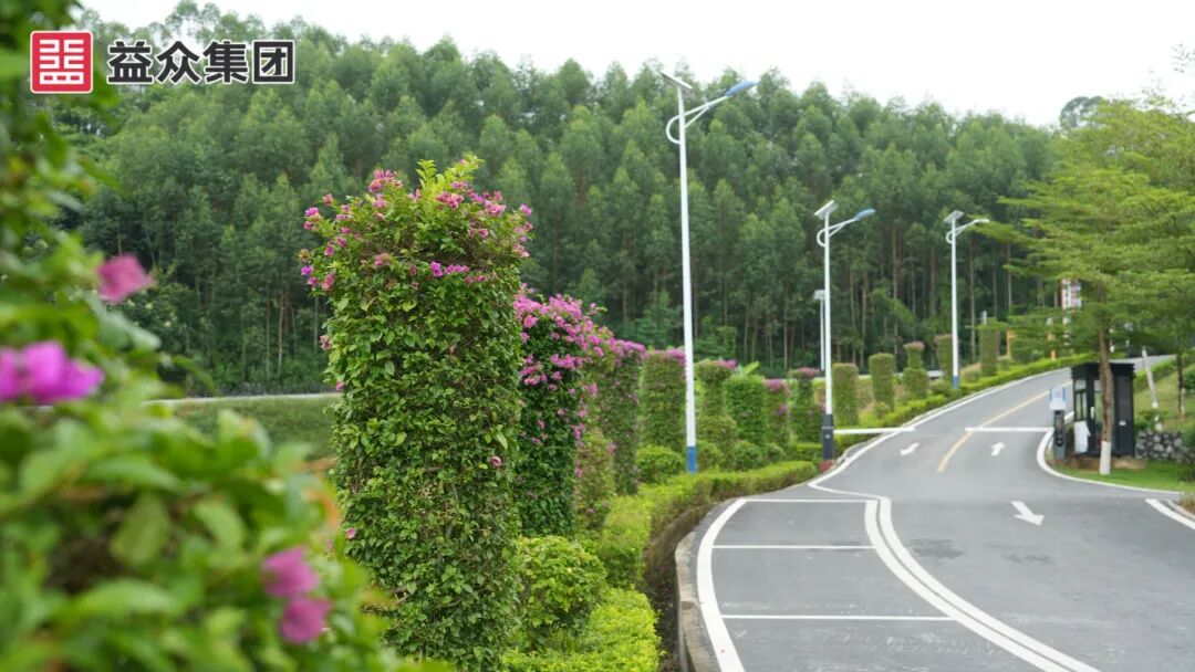 7c4938c1ff08efe47d68c6bae2224911 图片