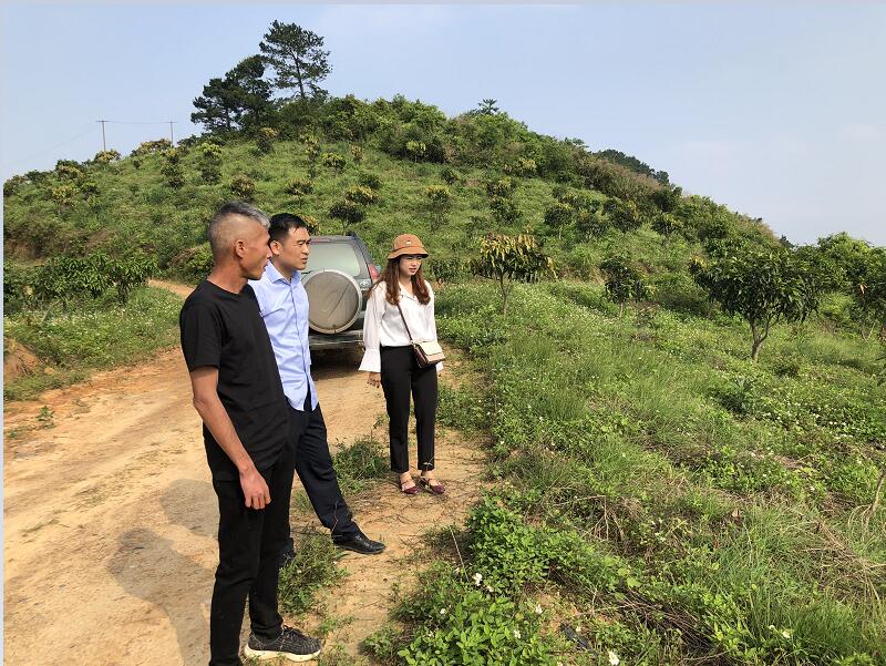 中国·37000威尼斯(股份)有限公司-官方网站