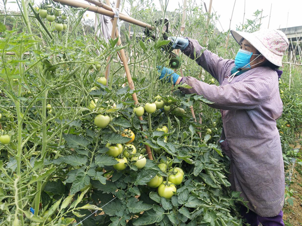 中国·37000威尼斯(股份)有限公司-官方网站
