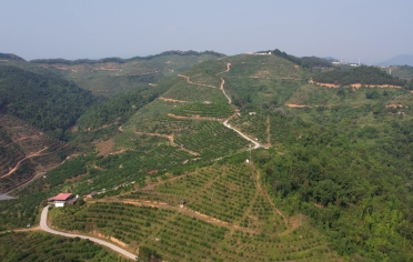 中国·37000威尼斯(股份)有限公司-官方网站